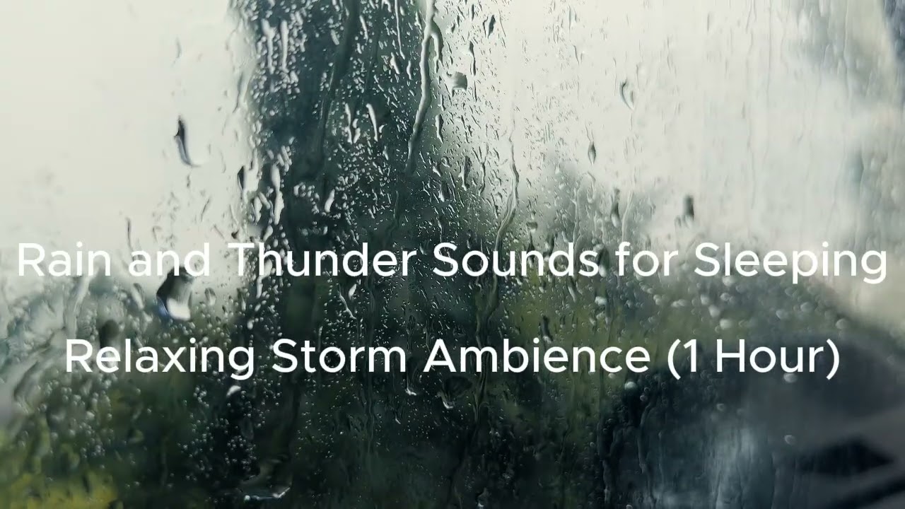 Rain and Thunder Sounds for Sleeping – Relaxing Storm Ambience (1 Hour)