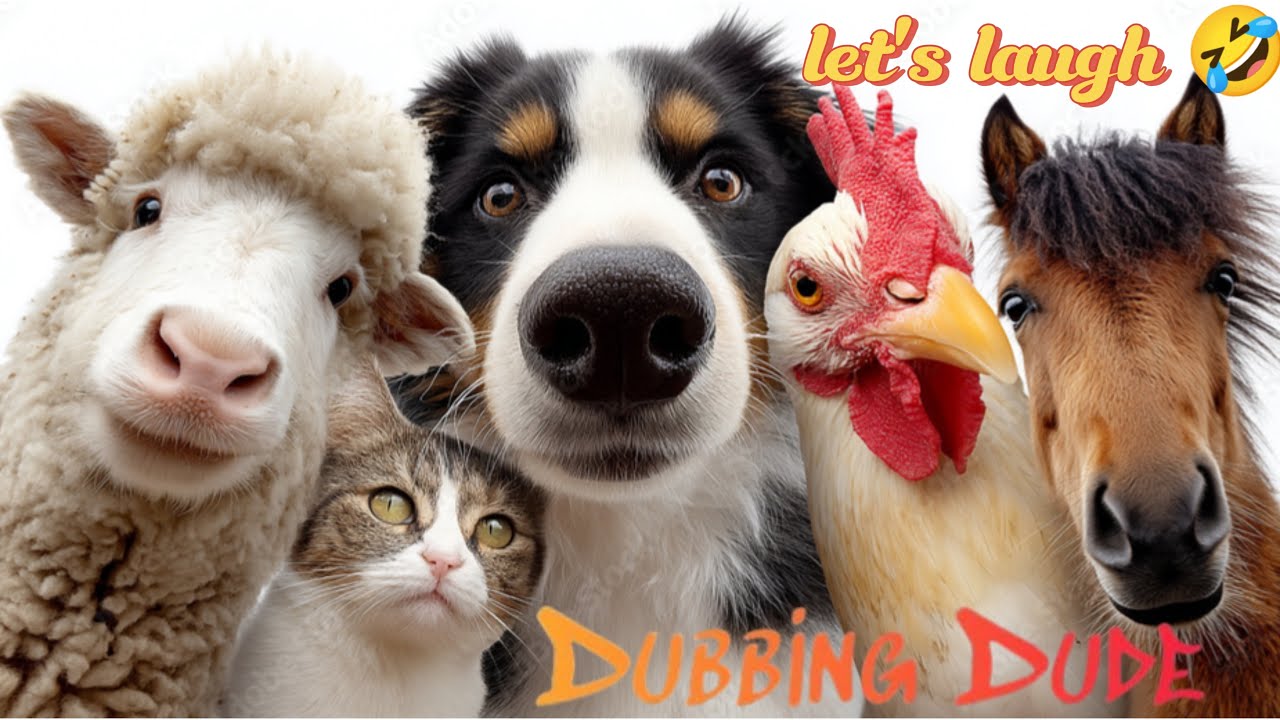 இந்த dubbing கேட்டா சிரிச்சே ஆகணும் 😂 |@Dubbing-dude #youtubevideo #dubbingcomedy 
