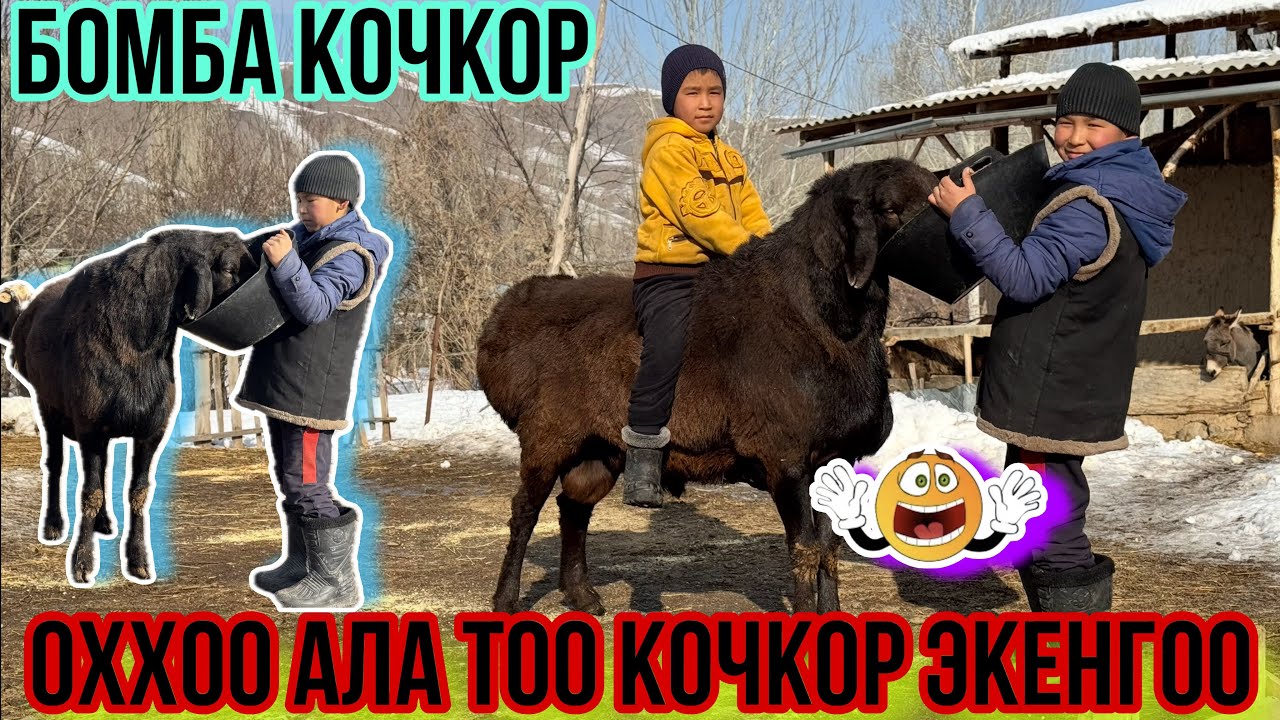 Сатылды✅
