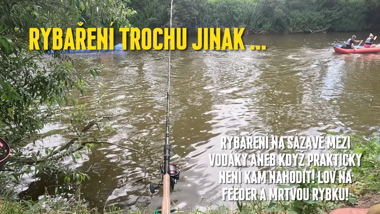 Rybaření na Sázavě mezi vodáky aneb když prakticky není kam nahodit! Lov na feeder a mrtvou rybku!