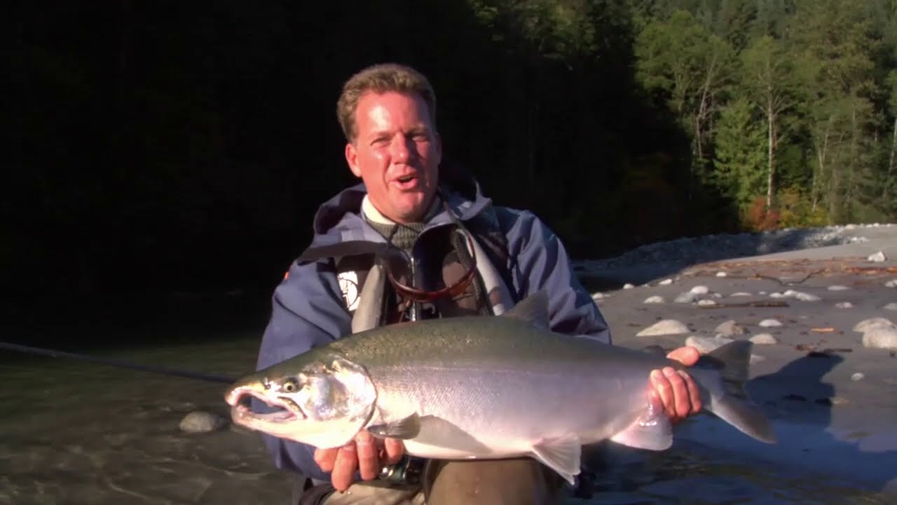 FISH M: Competing Against Bears in Pitt River, Canada (Fiskedrag S04)