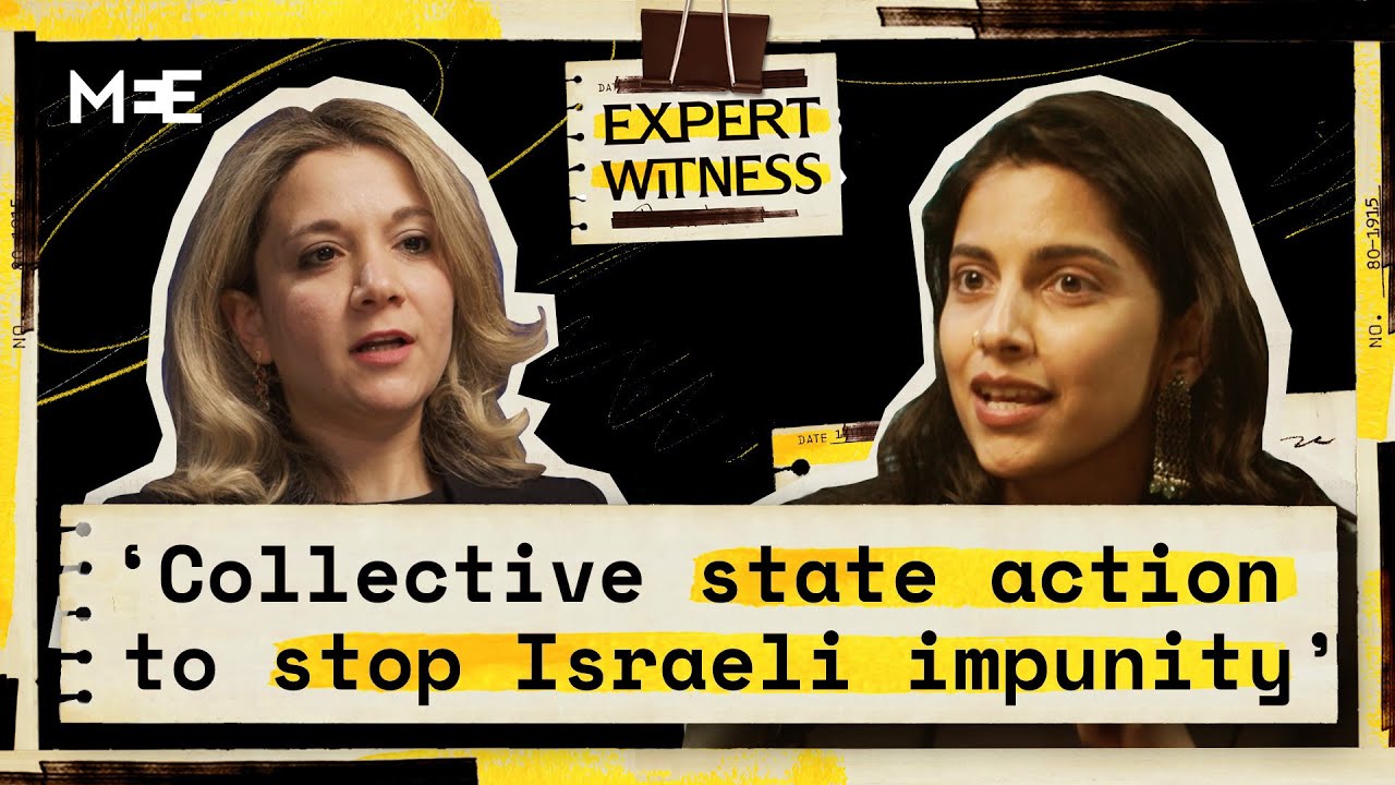 What can end Israel's impunity? | Varsha Gandikota-Nellutla | Expert Witness