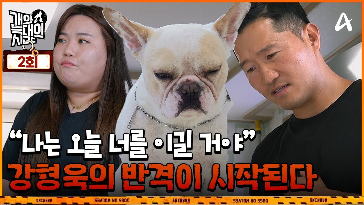 [예능] 개와 늑대의 시간 2회 _ 250812 _ 늑대 1호와 강형욱의 기 싸움