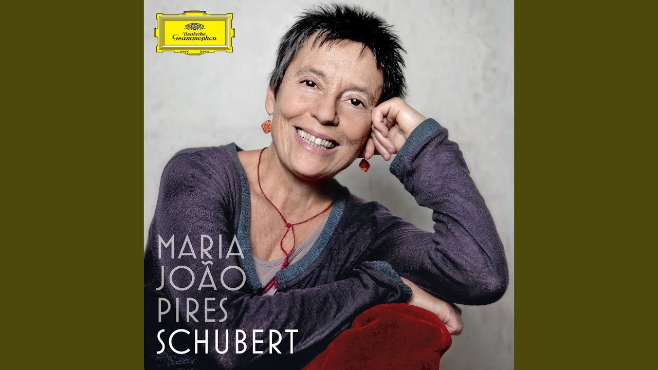 Schubert: Piano Sonata No. 16 in A Minor, D. 845 - I. Moderato