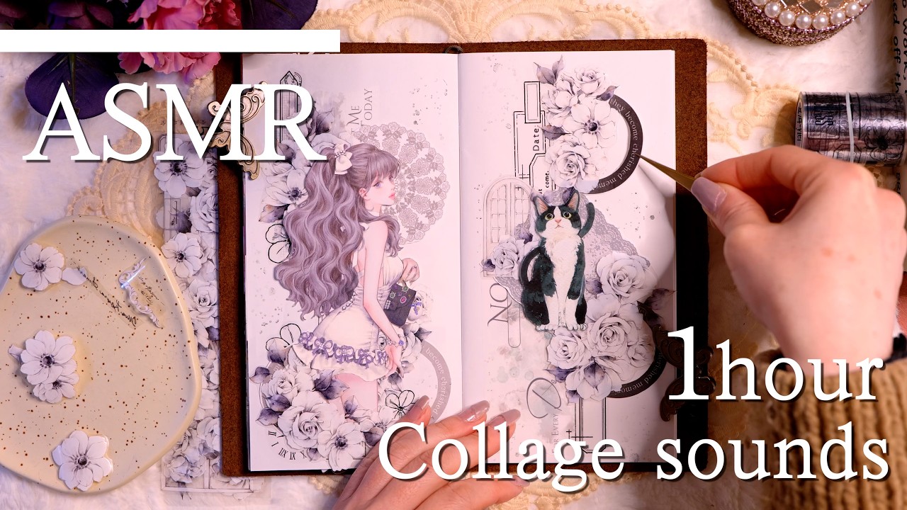 [ASMR]  コラージュの音 |  作業,勉強,睡眠 | collage sounds | relaxing sounds