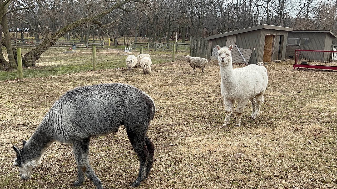 Queens county farm |nyc farms|queens farm|@bio usa