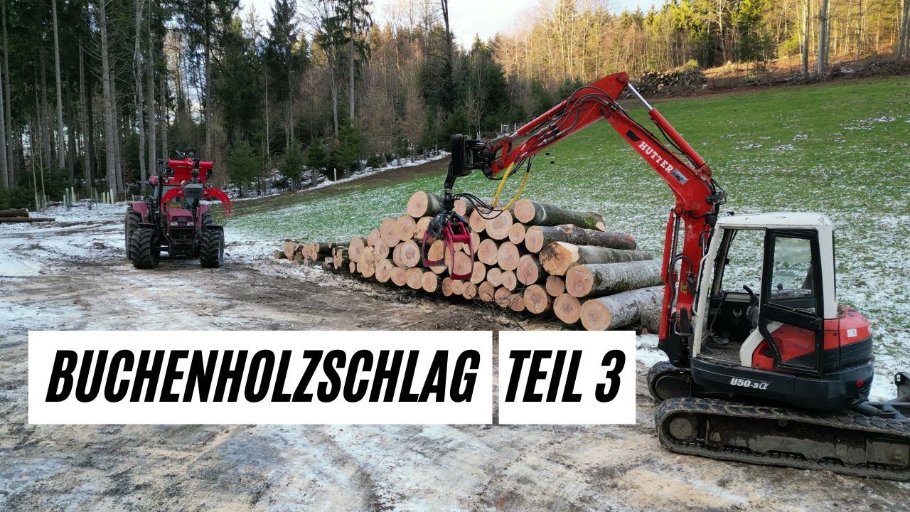 Holzschlag aufräumen und Holz ablängen mit Bagger. Holz abtransportieren mit Traktor und Rückewagen.