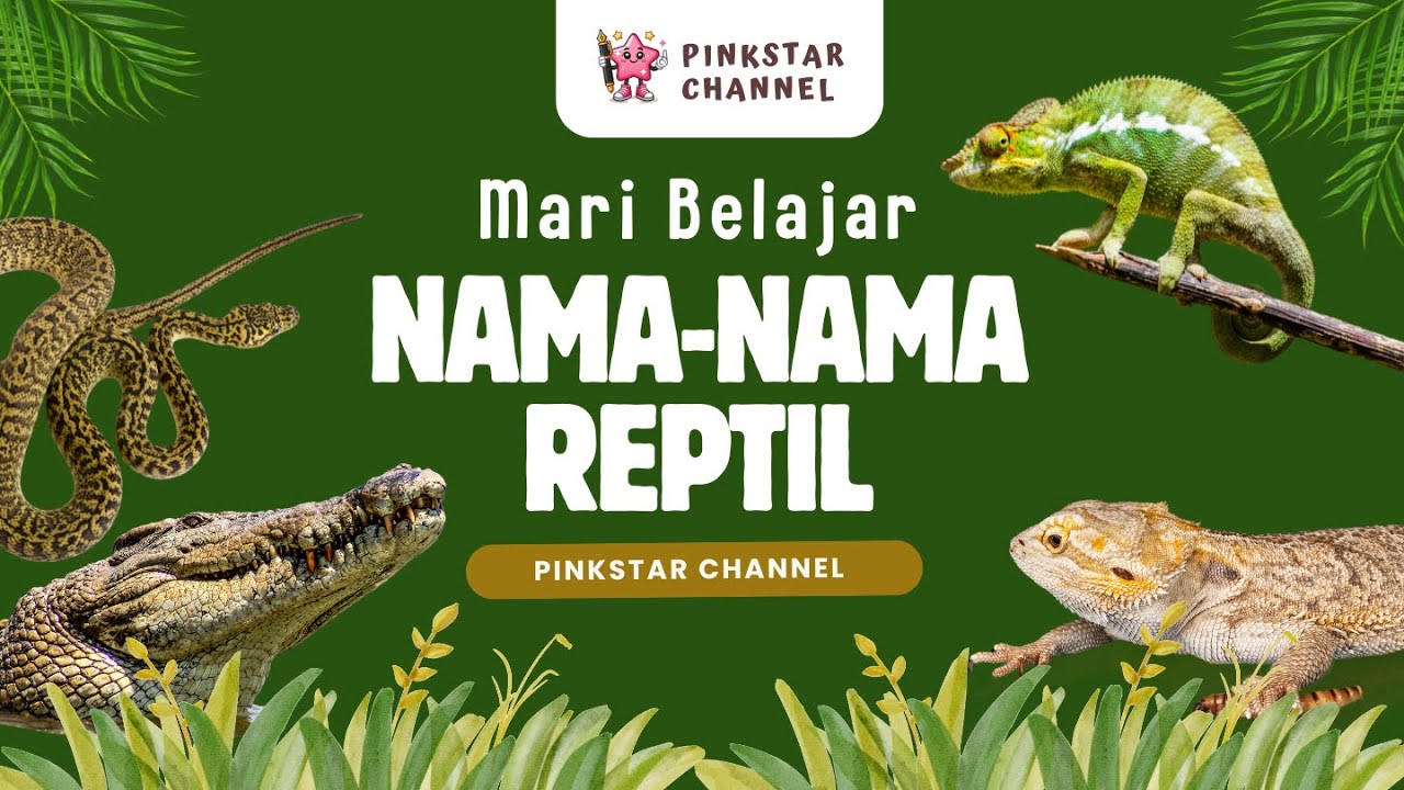 Belajar Nama-Nama REPTILE - PINKSTAR CHANNEL