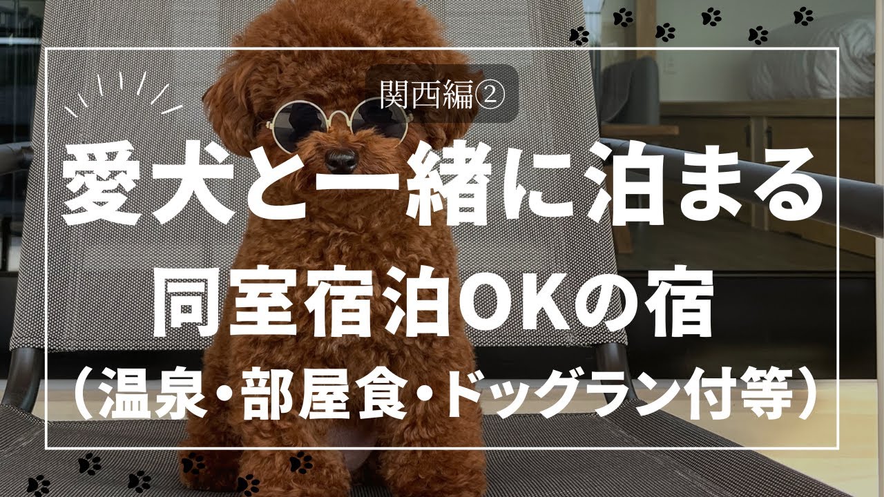 【関西❷】わんこと泊まれる宿！高評価宿まとめ（温泉・部屋食・ニューオープンしたての宿も♪）