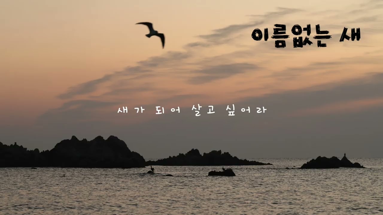 이름없는 새/손현희 