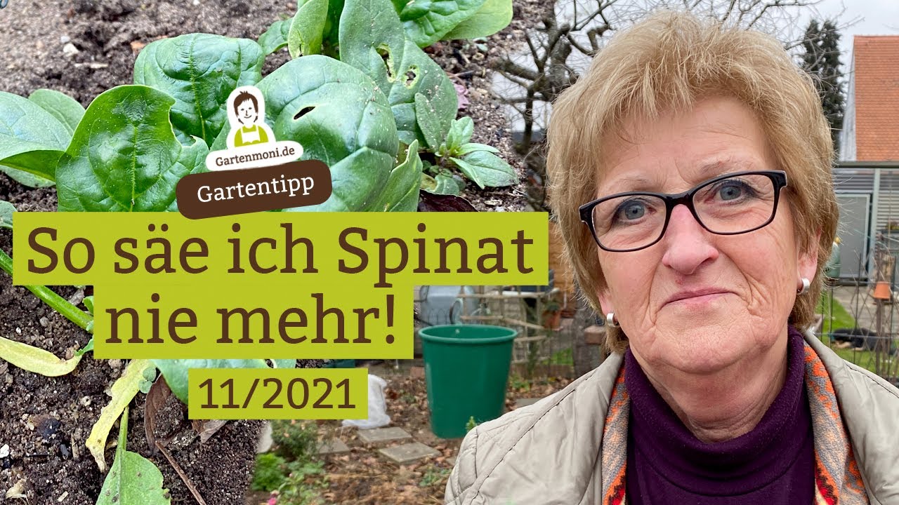 Spinat ans&auml;en: Nie mehr auf diese Art, nur noch so wie fr&uuml;her!