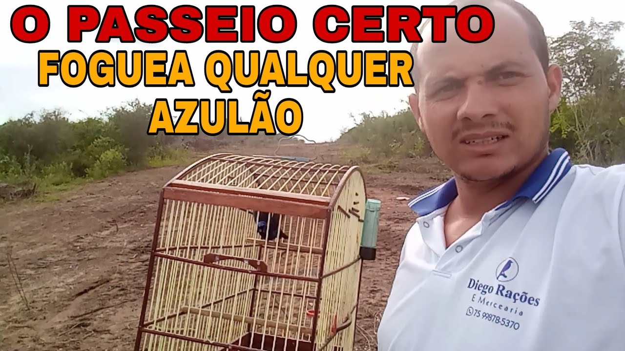 Qual o melhor passeio para foguear seu AZUL&Atilde;O?