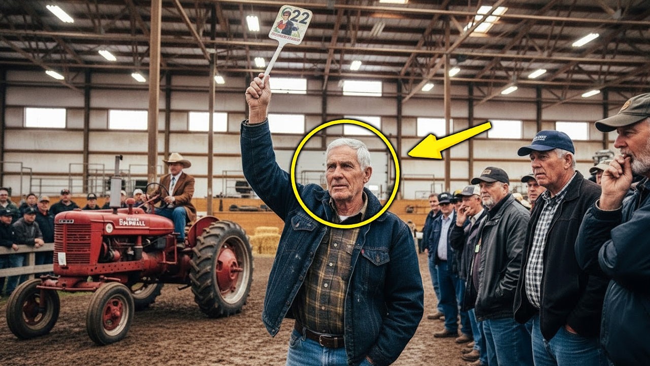 They Mocked Him When He Bought Used Farmall — 15 Years Later His Farm Was Still Standing
