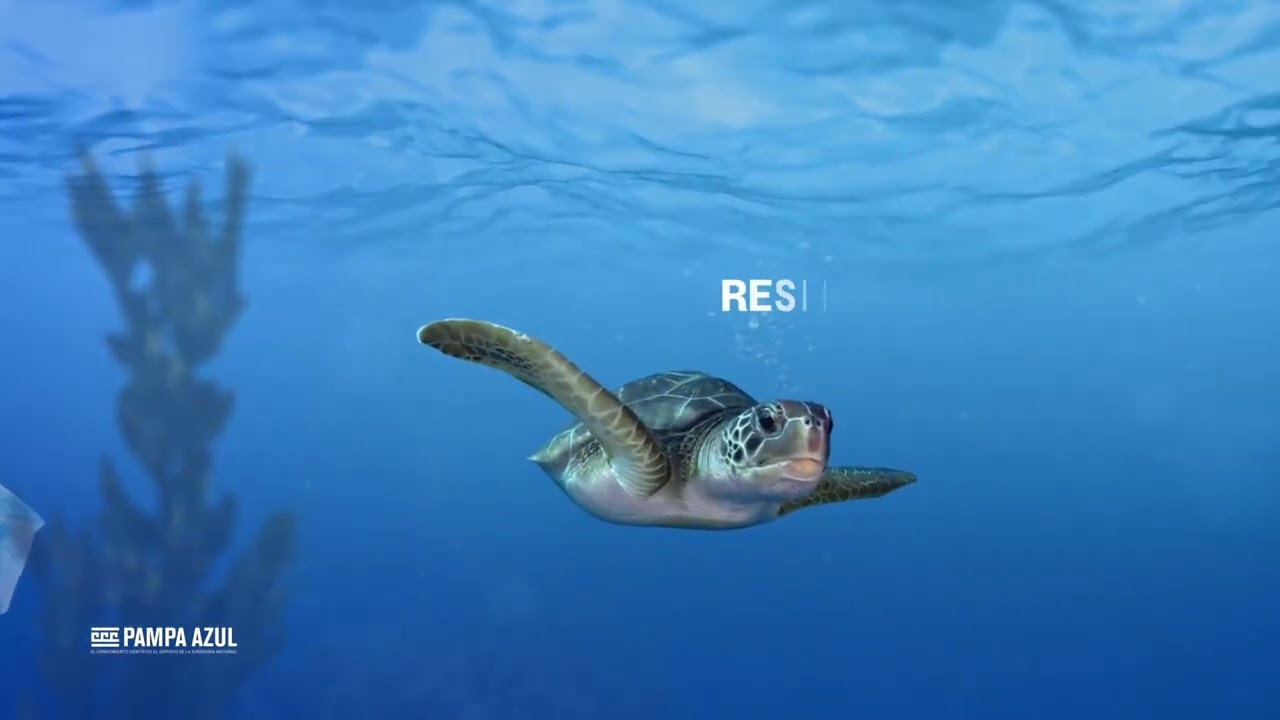 Pampa Azul Conservaci&oacute;n