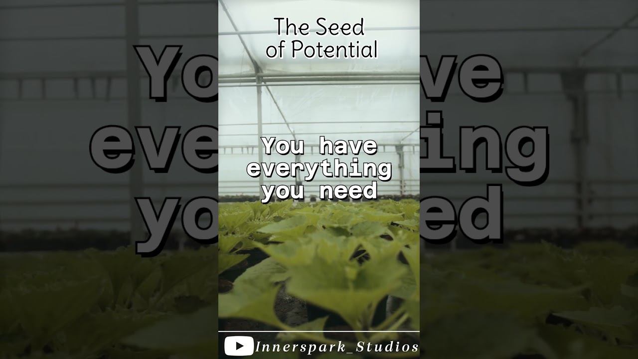 Everything You Need Is Within You 🌳 Inner Resources #strengthwithin  #capability #inspiration #facts