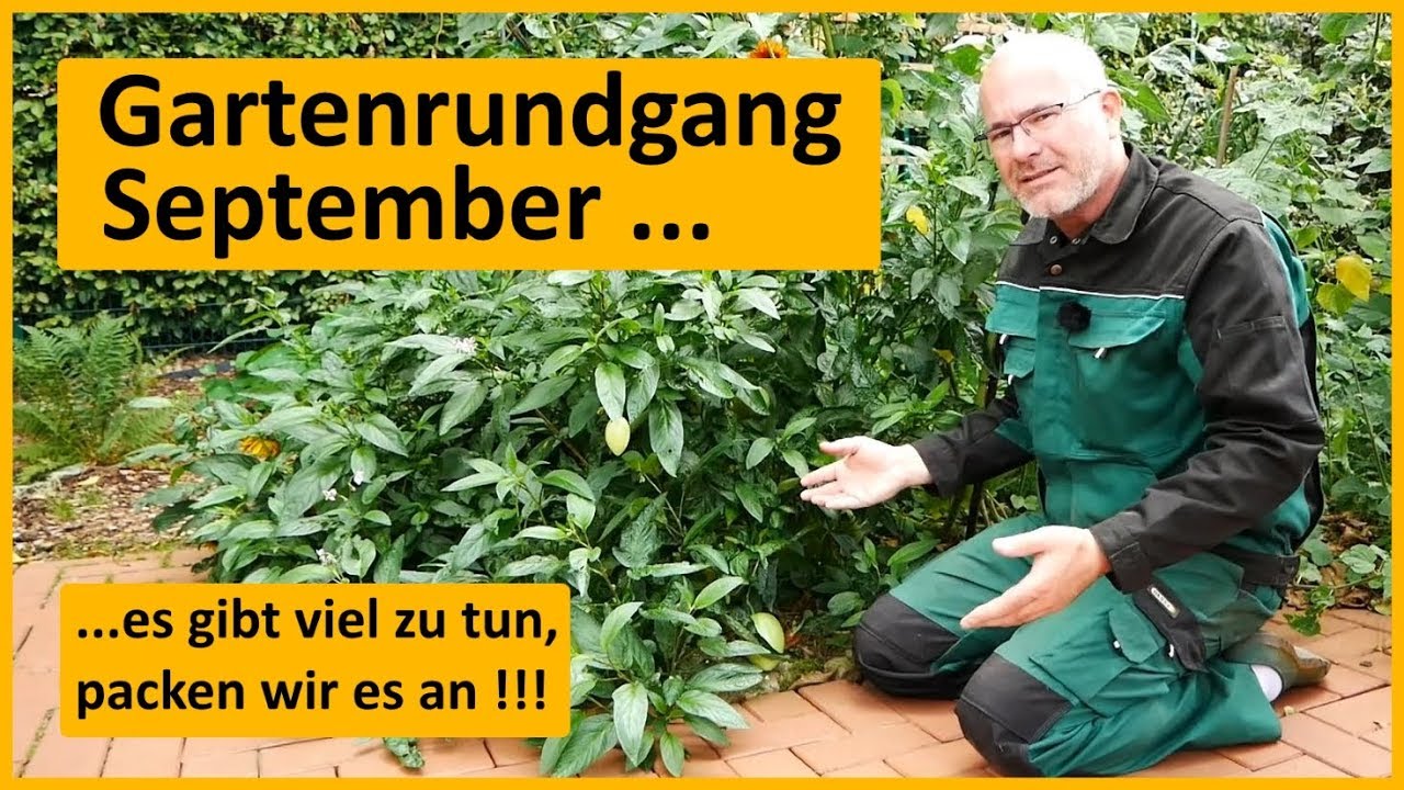 Gartenrundgang September - oder eher Arbeitsrundgang