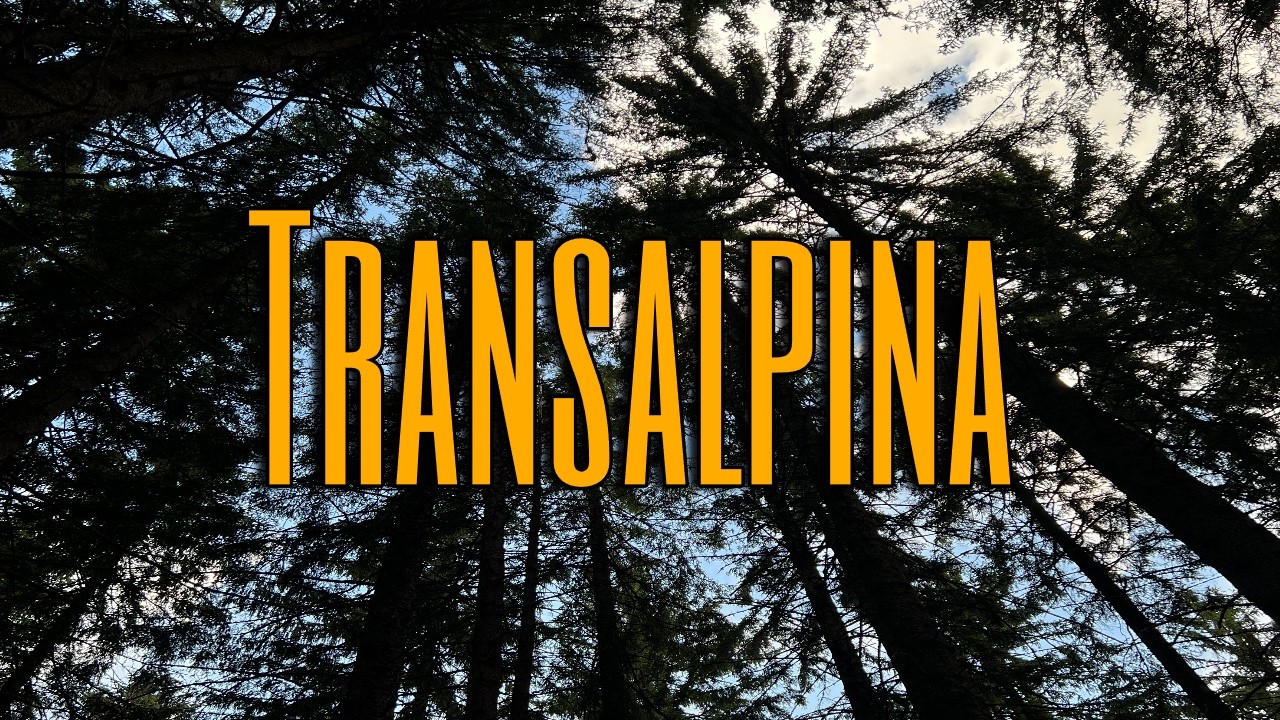 Transalpina Yamaha