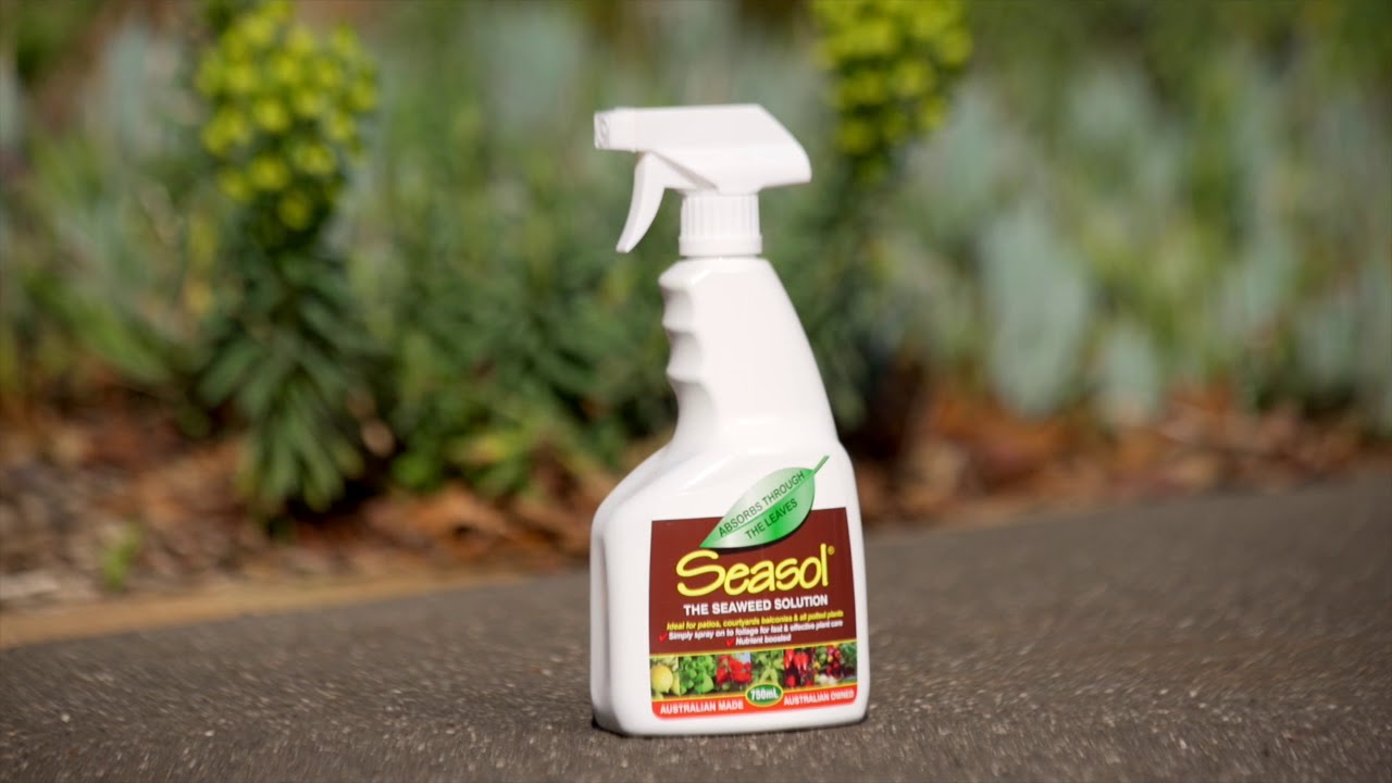 Seasol Products with Nigel Ruck - Seasol Foliar Spray