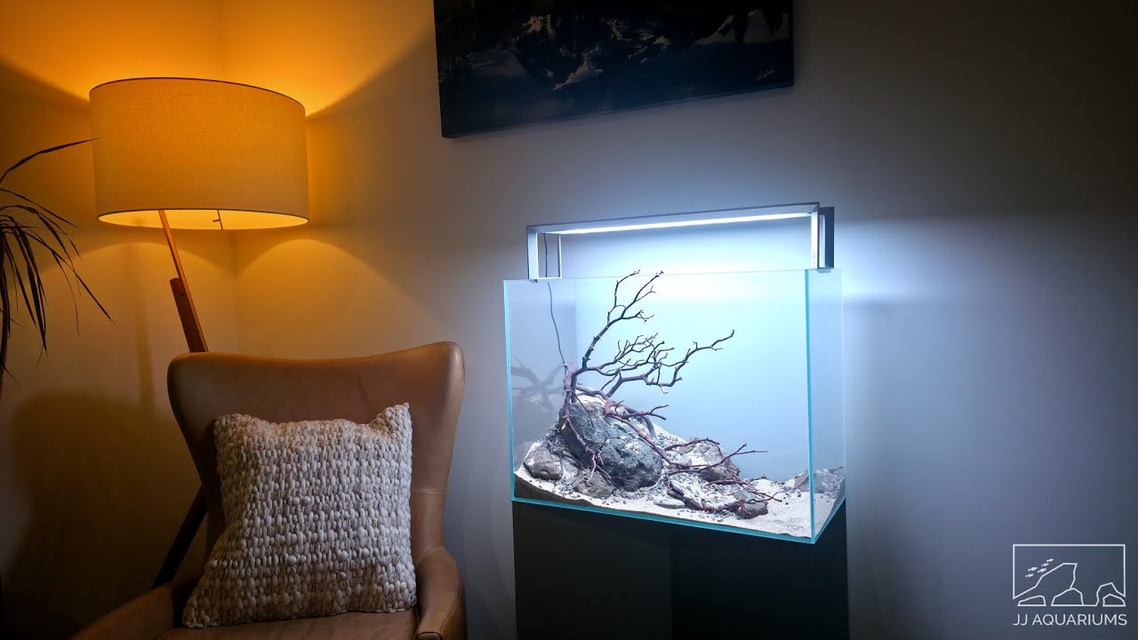 Scaping a Client’s ADA 60H Aquarium | Full Nature Aquarium Setup