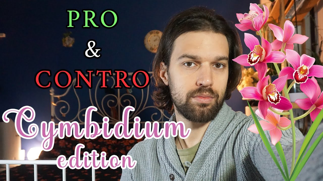 🌸Cymbidium: PRO ✅ & CONTRO ❌