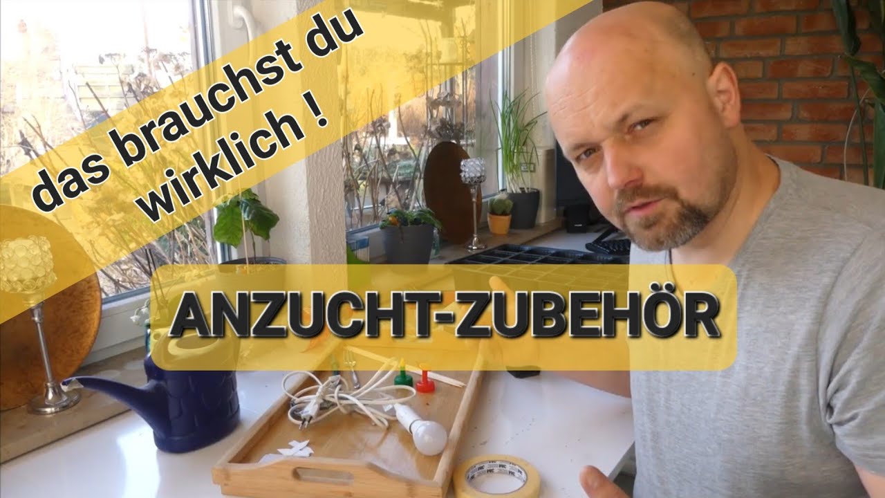 Anzucht Zubehör: Das brauchst du wirklich für deine Jungpflanzen