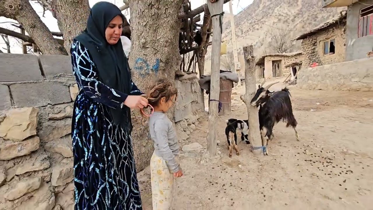 Reza's love was revealed;  Grandma's fight and the birth of the baby: Cobra!  😲👶