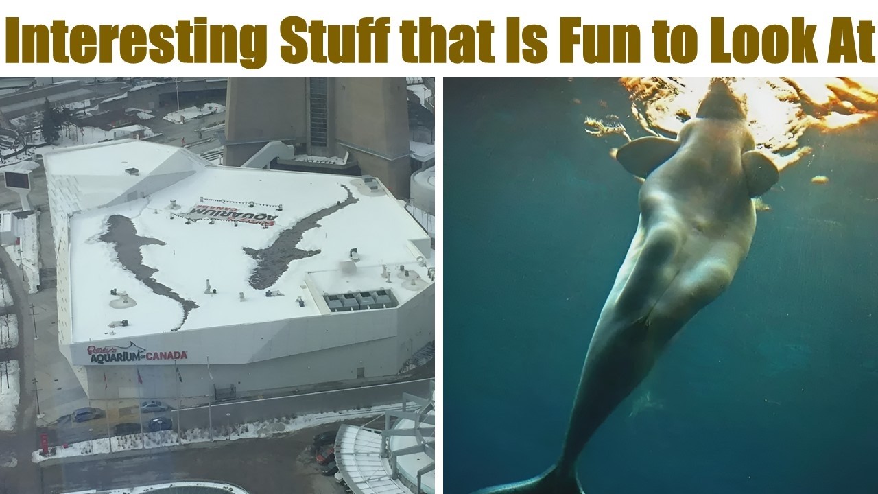 Interesting Photos People Couldn’t Help But Share Online