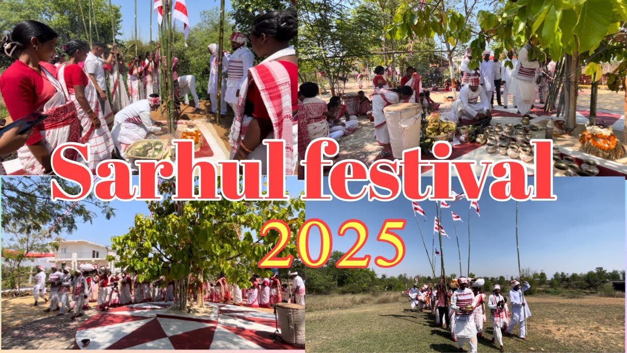 Sarhul puja | Sarhul festival 2025 | Sarhul puja Hazaribagh Jharkhand