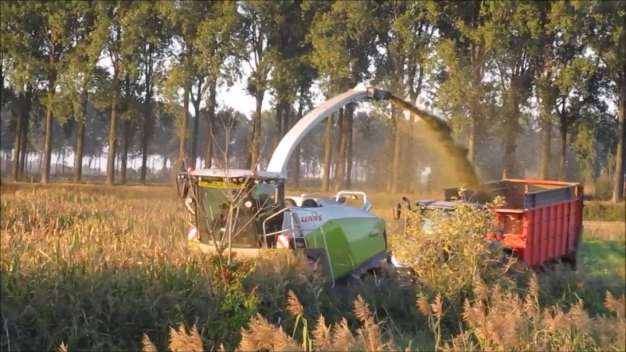 Van Holderbeke Maïs 2018 #chopping corn#