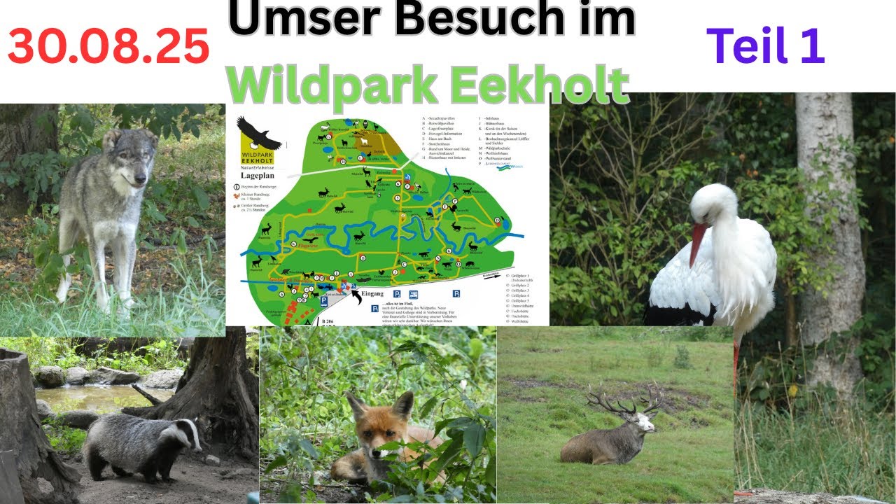 Unser Besuch im Wildpark Eekholt am 30.08.25 - Die Große Runde  - Teil 1