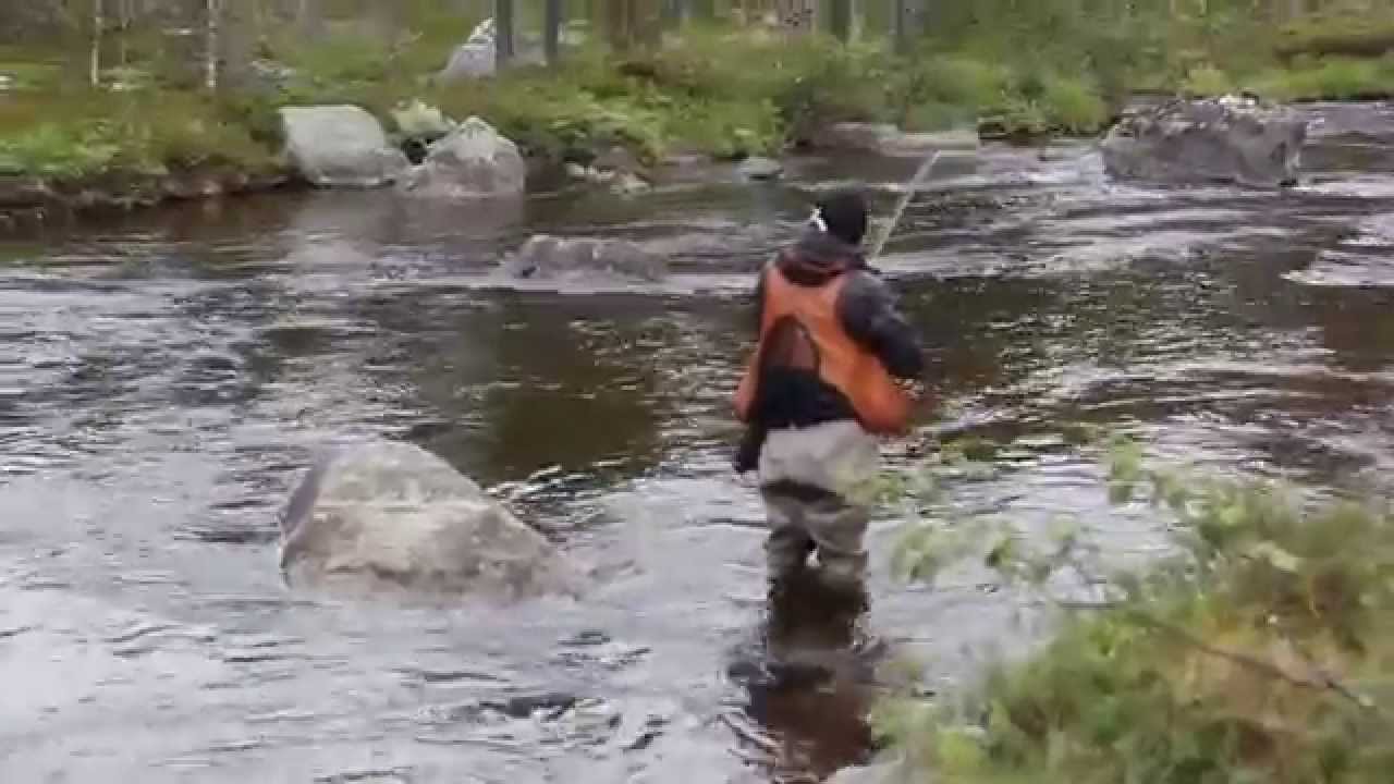 Stor&aring;n