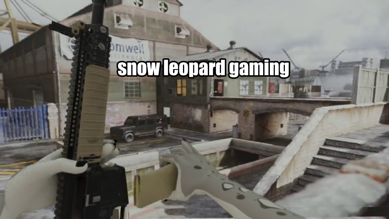 A Snow Leopard Handles An M4A1