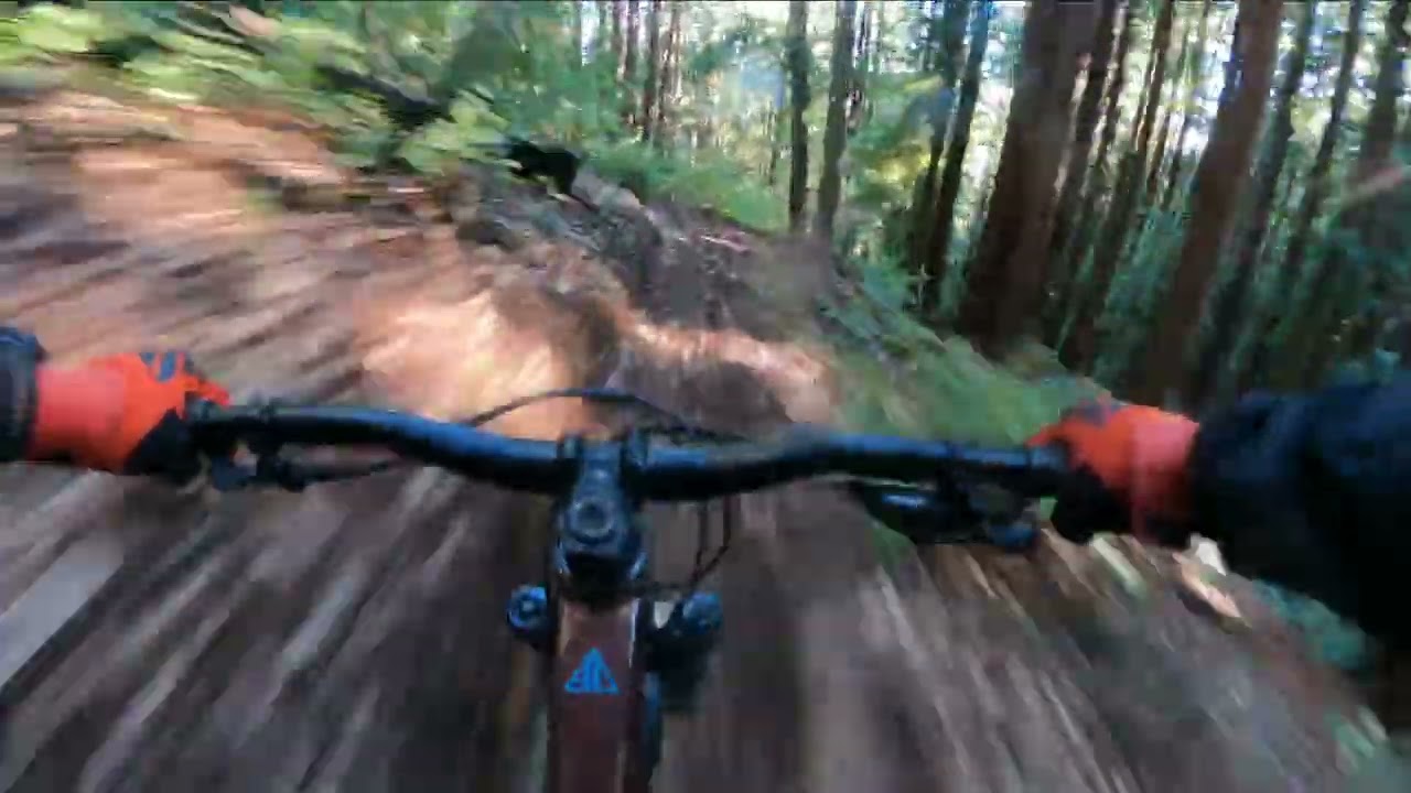 UCSC MTB - COBB Marin Alphine Trail 1 with Boss Eric and Boss Granville 11-22-25