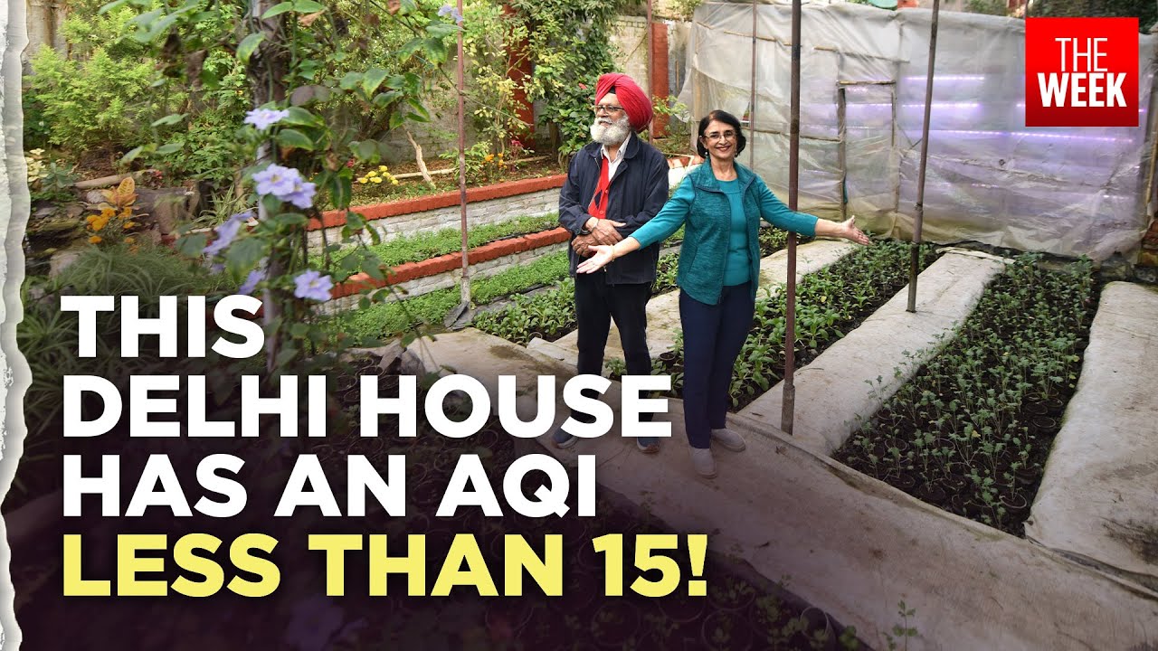 Delhi air quality | Meet Peter Singh and Neeno Kaur, the couple whose Delhi house's AQI IS UNDER 15