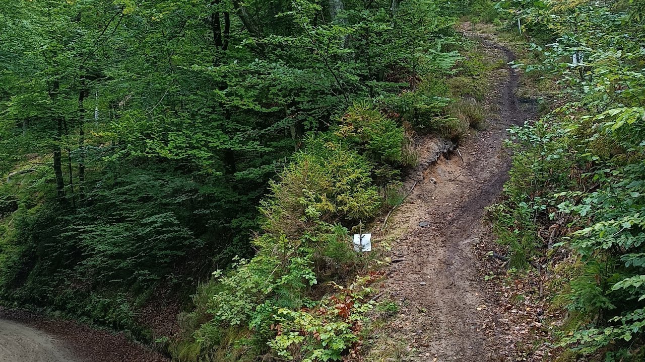 Opis trasy MP XCM 2024 - MTB Pomerania Luzino 2024