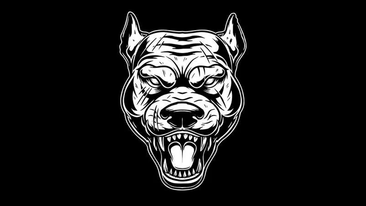 BVZ - SUPERGLUE FT ELCHICOLOSTRAPIS Prod. GaMa Beats