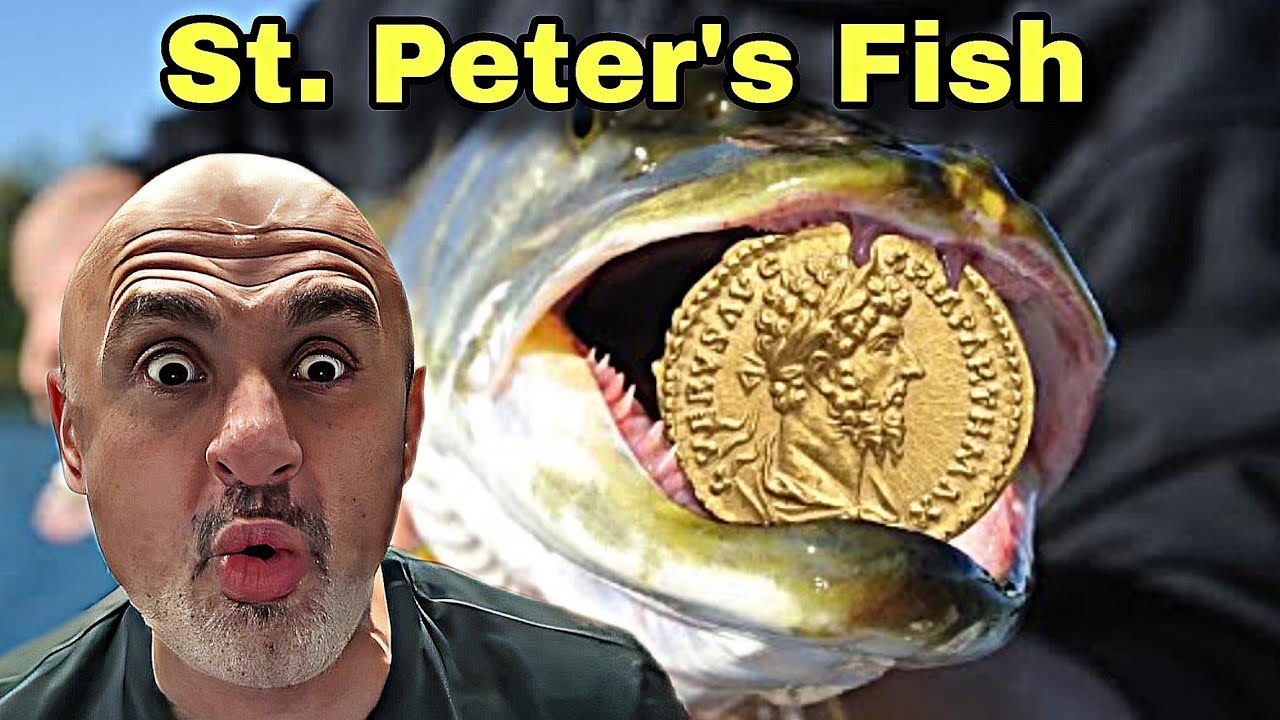 Jesus & Temple Tax In Fish's Mouth | Sam Shamoun