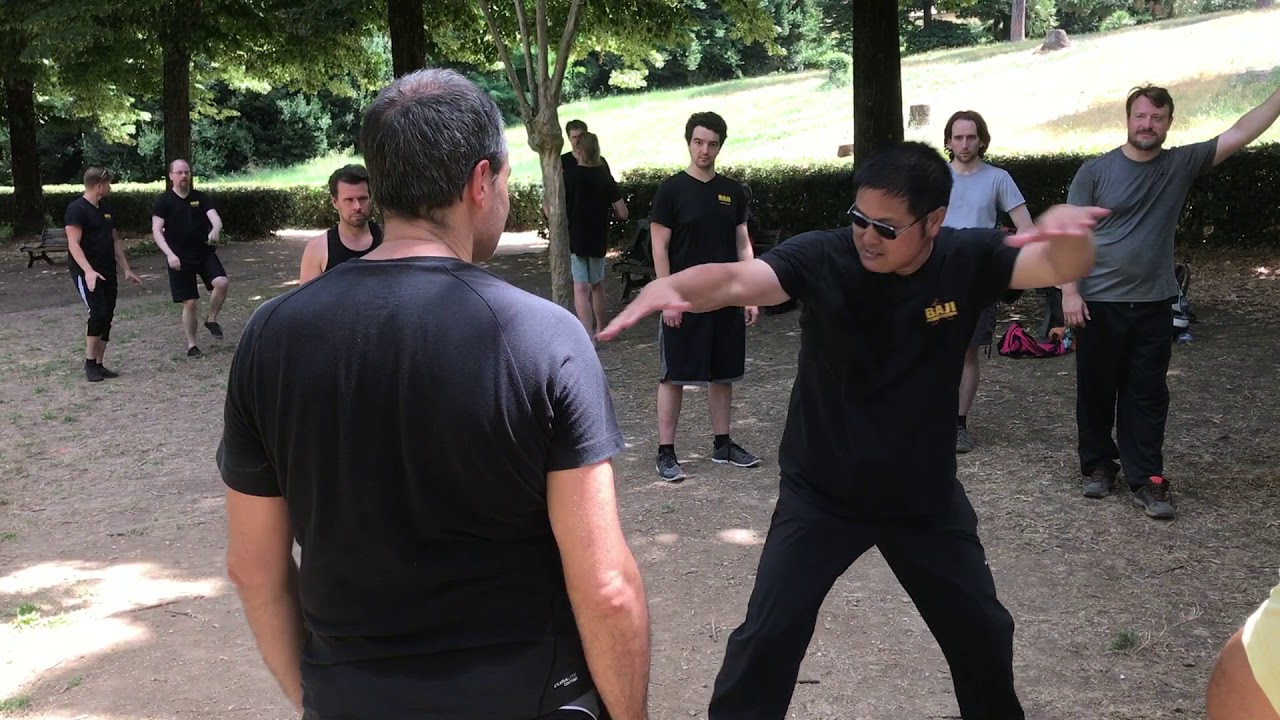 International Baji Seminar in Rome 2018