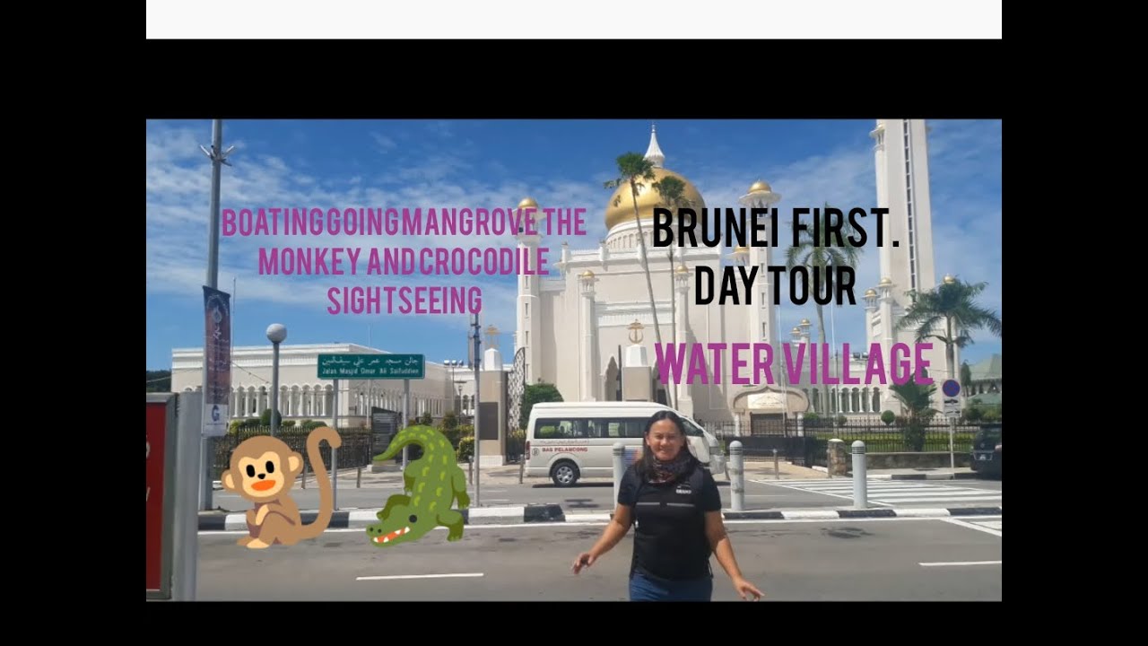 Brunei trip,Omar Ali Mosque Monkey & Crocodile sightseeing, Mangrove, Water Village(Solo Traveller)