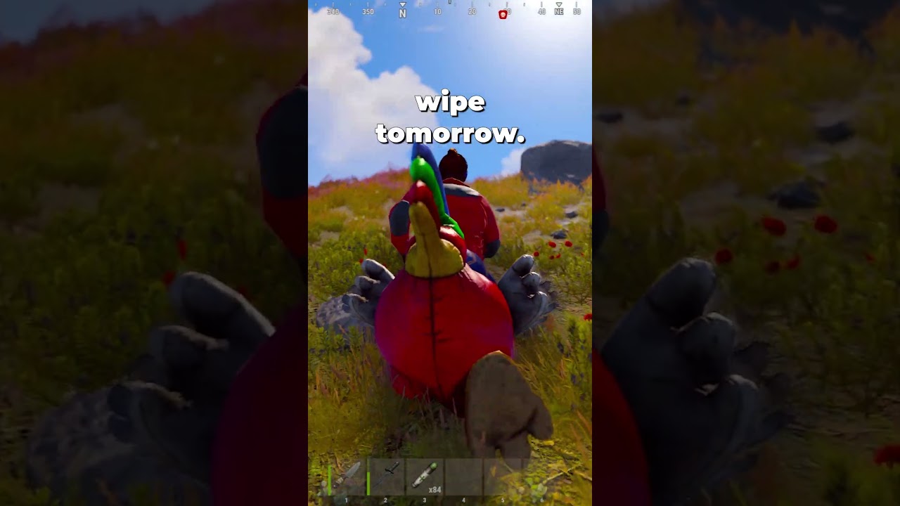 The Chicken Suit is Coming To Rust! 🐔 #rust #rustupdate #rustnews #rusteaster #rustshorts #rustgame