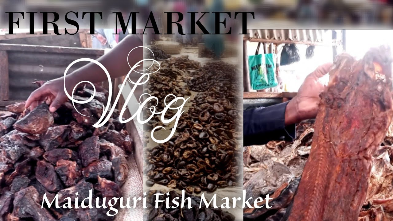 Maiduguri Fish Market Vlog|First Market Vlog/Rate me #arewablog  #arewa #marketvlog #maidugurimarket