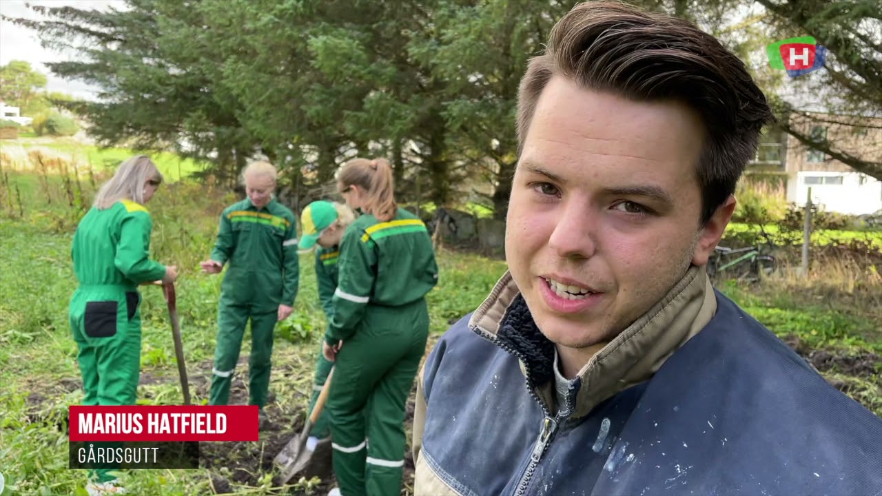 Er dette distriktets kuleste gårdsbruk?