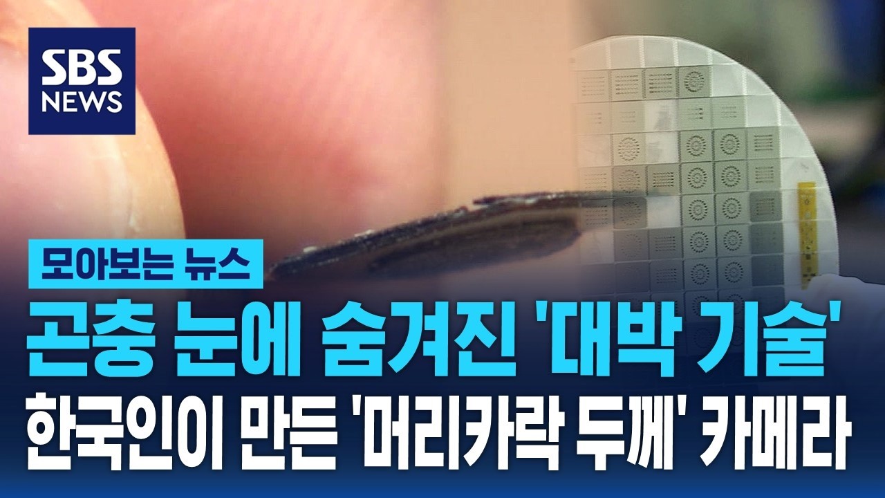 곤충 눈에 숨겨진 비밀..카이스트가 만든 '머리카락 두께' 카메라 / SBS / 모아보는 뉴스