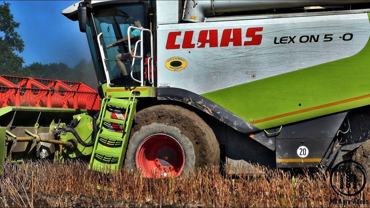 Mokr&eacute; Žně 2020 / Divok&aacute; prasata / Claas lexion 550 / Wild Boar / Fr&yacute;dlantsk&aacute; zemědělsk&aacute; a.s. /