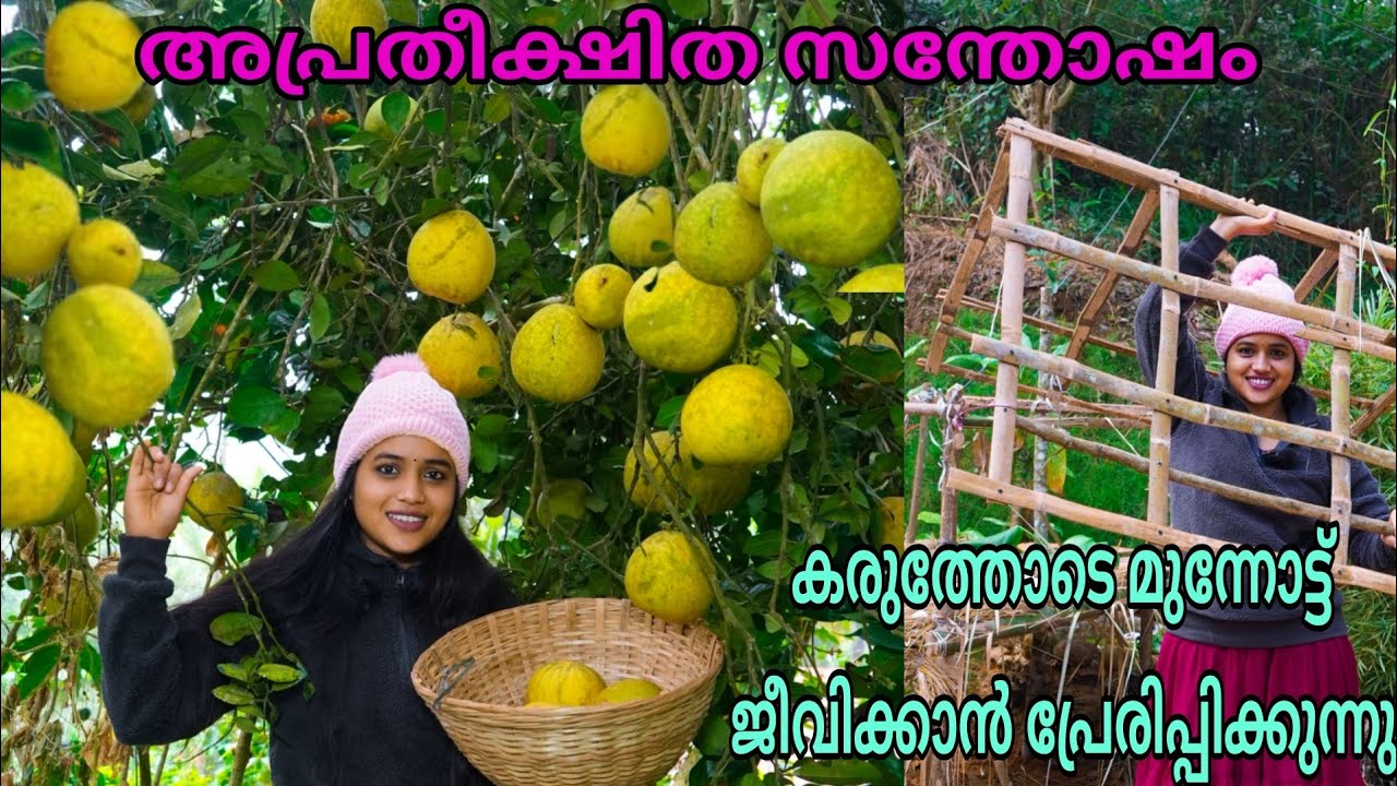 നല്ല ഒരു ദിവസം😊  വർഷങ്ങൾ കാത്തിരുന്നു കിട്ടിയ ഒരു അംഗീകാരം /Day in my life/Saranya's beauty vlogs