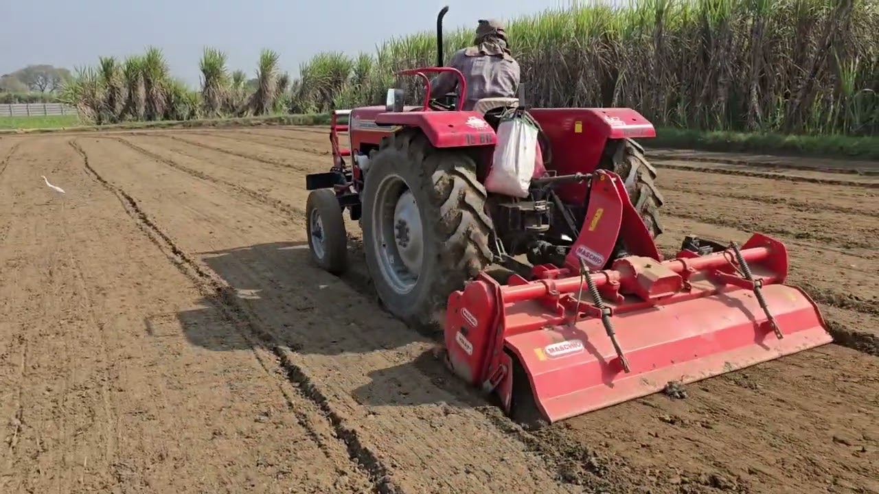 गोबर की खाद डालने के बाद यह काम जरुर करें किसान भाई तभी मिलेगा जबरदस्त उत्पादन
