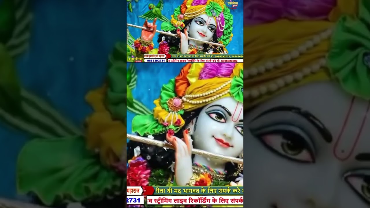 #harikathatv #livebhagwat #shreeharileela #vrindavanharileen #bhagwatkatha #song #day