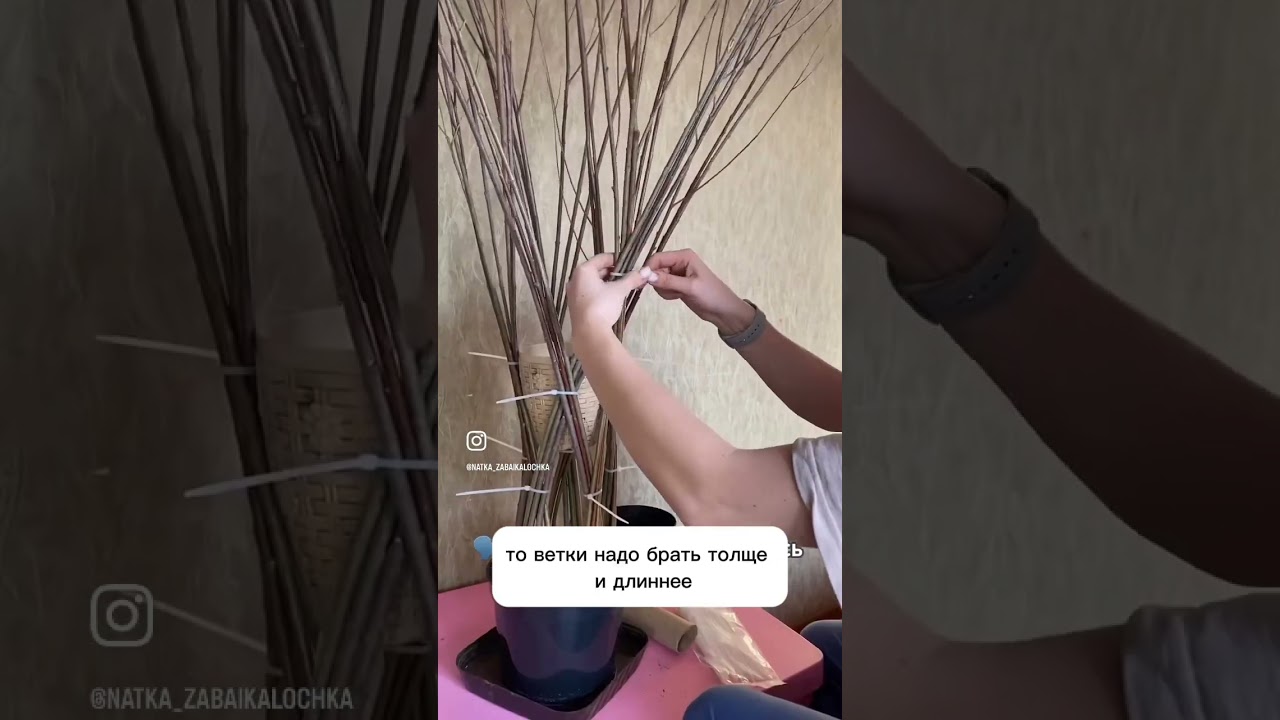 Плетеное дерево из ивы