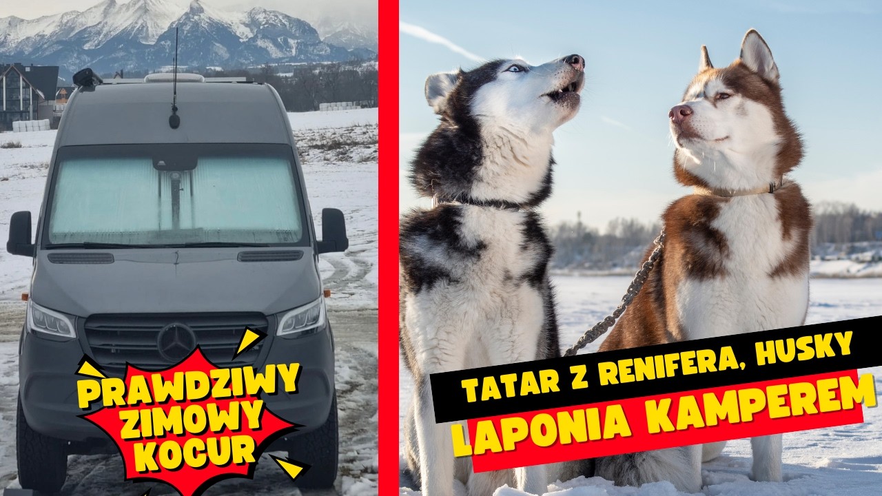 PSI ZAPRZĘG, MIĘSO Z RENIFERA, KAMPERVAN NA ZIMĘ!