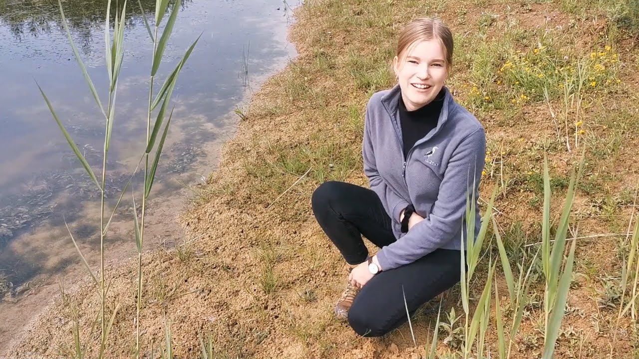 Anne und die Maulwurfsgrille - Mein FÖJ bei der HGON